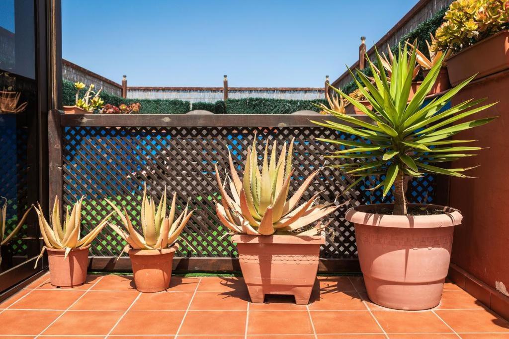 Casa Orymar Apartment El Cotillo  ภายนอก รูปภาพ