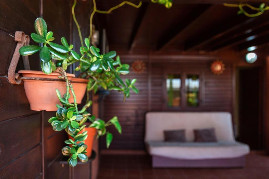 Casa Orymar Apartment El Cotillo  ภายนอก รูปภาพ